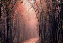 HK1 Armbain 2025 Pxvirt (Proxmox VE) CT 安裝 宝塔