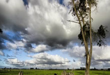 HK1 Armbain 2025 Pxvirt (Proxmox VE) CT 安裝 宝塔