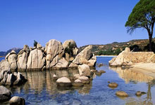 Tasmota DS18B20 溫度變動 傳MQTT